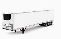 Standard container